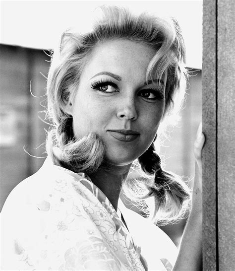 cynthia lynn movies and tv shows|More.